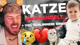 HASBULLA SCHLÄGT seine KATZE und wird von FANS VERTEIDIGT?!? 😿💔