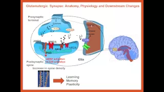 New Approaches in Treating Depression