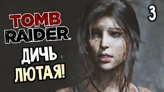 TOMB RAIDER ► Прохождение на русском #3 ► ДИЧЬ ЛЮТАЯ!