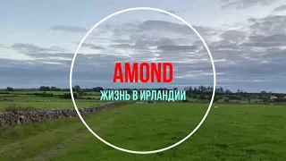 У НАС ОГРОМНАЯ РАДОСТЬ! 🌺  WE HAVE FANTASTIC NEW! 🌺@Amond