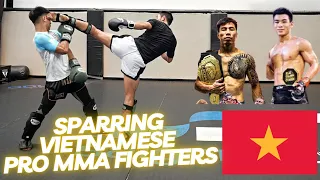 Sparring Vietnamese Pro MMA Fighters (breakdown)