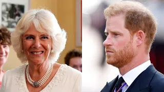 Prince Harry is ‘full of lies’ about Camilla