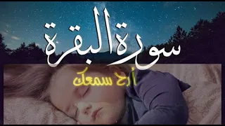 سورة البقرة كامله - أرح قلبك القارئ معاذ صيام