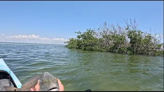 Snook, redfish, sharks, turtles?? Fishing with artificial lures and cut bait off Sanibel Island