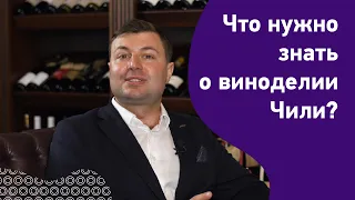 Алексей Гайворонский о виноделии Чили. История, регионы, стили вин.