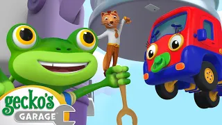 Gecko's MASSIVE Magnet Mayhem! | Animals for Kids | Funny Cartoons | Learn about Animals