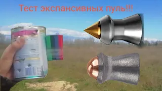 Экспансивные пули. Гамо рокет 0.62 VS Нотерман хорнет 0. 65!!!