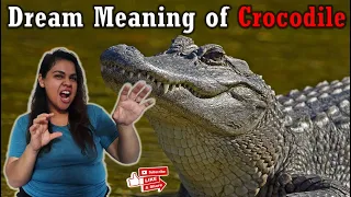 Crocodile dream meaning - Dream interpretation attack, bites, chasing