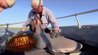 Mistakenly Hooking A Bull Shark | BULL SHARK | River Monsters