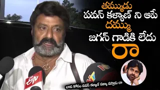 పవన్ కళ్యాణ్ ని ఆపే దమ్ము జగన్ గాడికి లేదు || Balayya Reacted On Pawan Kalyan Stoped In Airport | NS