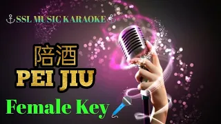 陪酒~ PEI JIU 🎼 🎼🎼🎼karaoke (female 🎤)