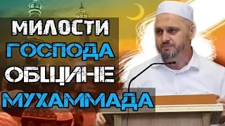 ᴴᴰ┇Милости Господа общине Мухаммада┇Шейх Камильгерей Салгереев