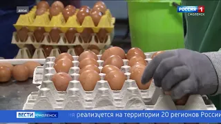 Смоленская птицефабрика увеличила производство куриных яиц почти на 20 процентов