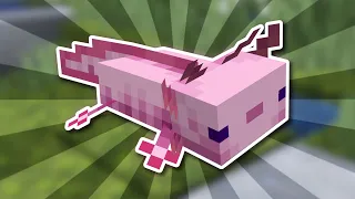 Everything There is to Know About Axolotls in Minecraft 1.20