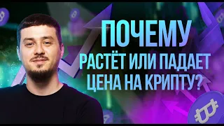 ПОЧЕМУ РАСТЁТ ИЛИ ПАДАЕТ ЦЕНА НА КРИПТУ? | Криптовалюта для новичков