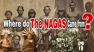 The origin of naga's|How did they migrated|Naga Yeptho