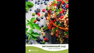 Витаминный сад. Вкус и польза вашего сада