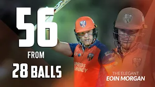 Eoin Morgan's elegant 56 from 28 balls I Super League I Aldar Properties Abu Dhabi T10 I 2019