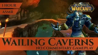Wailing Caverns - Gameplay, No Commentary, ASMR (1 hour, 4K, World of Warcraft Vanilla)
