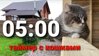 5 Минут Таймер обратный отсчёт на фоне кошек и щенка - 5 Minute Timer Countdown with Bells - Full HD