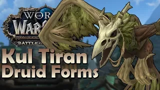 Kul Tiran Druid Forms - In Game Preview | Battle for Azeroth