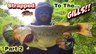 Strapped to the GILLS (Part 2) - Featuring the BUCCA BULL GILL and the YOHAN GILL GLIDE!!!