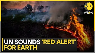 UN sounds ‘Red Alert’ as world smashes heat records in 2023 | WION News