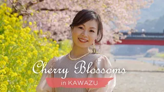 🌸Kawazu | Cherry Blossoms🌸