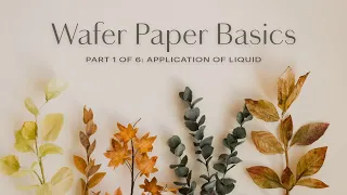 Wafer Paper Flowers Basics for Beginners (Part 1/6)