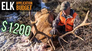 How YOU Can Hunt Elk on a Budget!