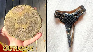 What Is This Mysterious Disk-shaped With Iridescent Patches And This Leather Piece With Straps?