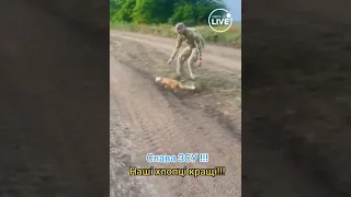 Допомага від ЗСУ тваринам