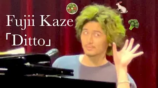 Fujii Kaze - Ditto🥗 🐇 (Full)