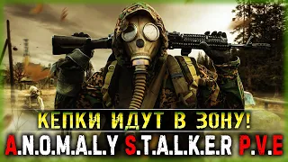 ВСЕ С НУЛЯ! НОВЫЙ СЕЗОН ВЫЖИВАНИЯ В ЗОНЕ! | DayZ Anomaly Stalker Pve ☢️ | Часть #1