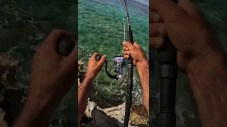 Steelhead-Jack Smashes my Lure!