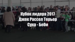 Выставка собак Кубок лидера 2017  Джек Рассел Терьер  Сука   Беби