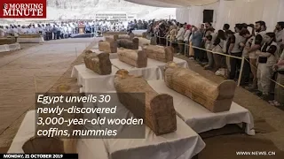 Egypt unveils 30 newly-discovered 3,000-year-old wooden coffins, mummies