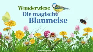 Traumreise für Kinder zum Einschlafen - Die magische Blaumeise - Geschichte mit Schmetterling