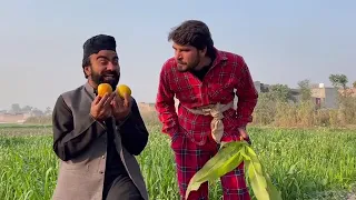 Malaki Na Manam// funny video by BeBe Vines #tiktok#terebinlastepisode