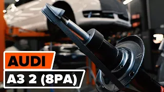 How to change a front shock strut on AUDI A3 2 (8PA)  [TUTORIAL AUTODOC]