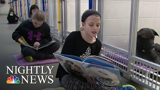 Children Help Get Shelter Dogs’ Tails Wagging By Reading to Them | NBC Nightly News