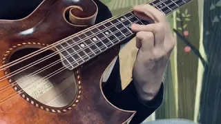 "Hard Times Come Again No More" on mandocello