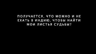 Пальмовые листья судьбы. Обязательно ли ехать в Индию, чтобы их найти?