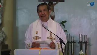 Live 10AM Sunday Mass with Fr Jerry Orbos SVD -May 17, 2020