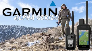 Breaking Down the Garmin Alpha Dog Tracker and Collar Series