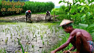 Monsoon Rain Ambience in Bangladesh | Walking in rain with umbrella sounds for Sleeping, Relaxation