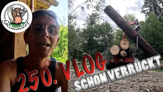 FarmVLOG#250 - Waldarbeit mit Hindernissen 🙄