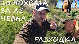 10 ПОХВАТА ЗА ЛЕЧЕБНА РАЗХОДКА HEALTHY HIKE