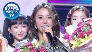 Winner's Ceremony : TWICE [Music Bank / ENG / 2020.06.12]