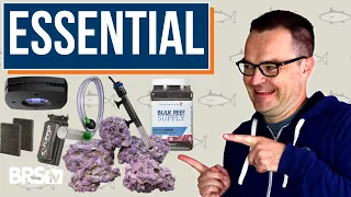 Essential Equipment? Aquarium Gear Not to Skip on Day One! EP: 5